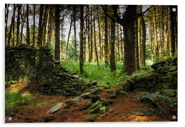  Fairytale Forest Acrylic by Chris Walker
