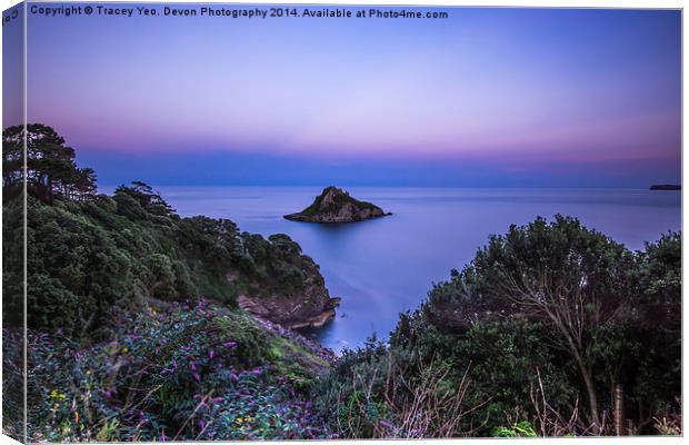  Thatcher Rock at Sunset Canvas Print by Tracey Yeo