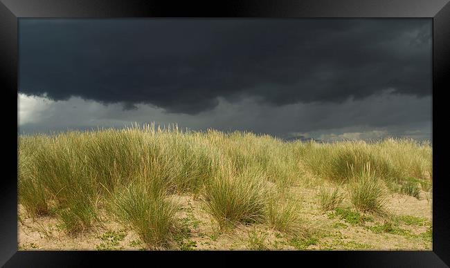  Storm over the Dunes Framed Print by Sue Dudley