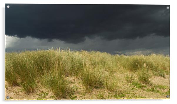  Storm over the Dunes Acrylic by Sue Dudley