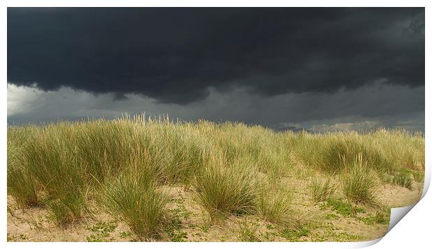  Storm over the Dunes Print by Sue Dudley