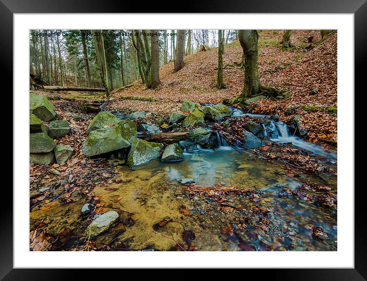 Water stream in the forest Framed Mounted Print by Laco Hubaty