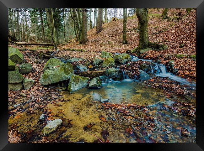 Water stream in the forest Framed Print by Laco Hubaty
