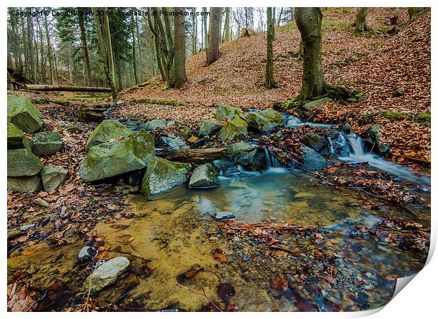 Water stream in the forest Print by Laco Hubaty