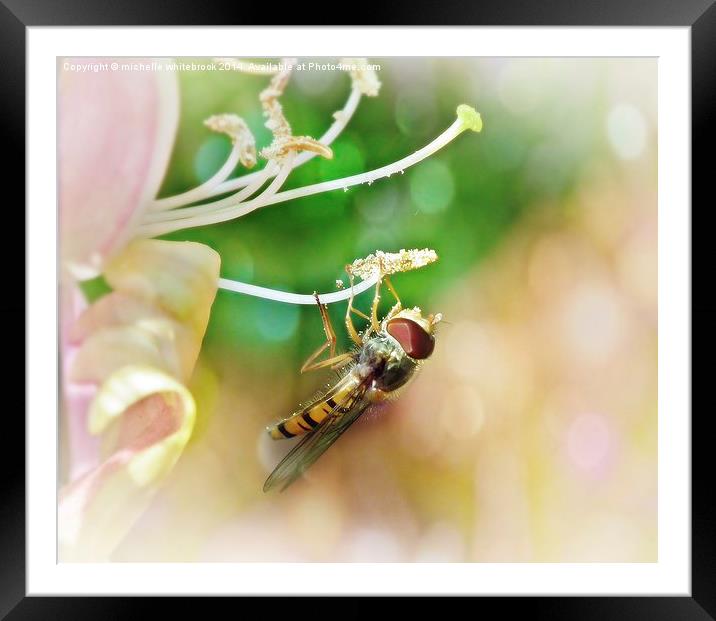  Dreamy Summer Framed Mounted Print by michelle whitebrook