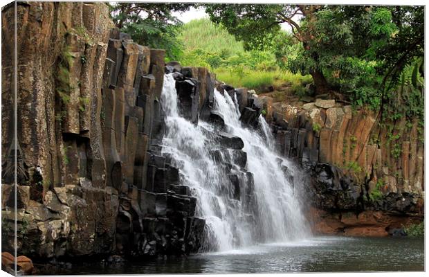  Mauritian Waterfall Canvas Print by Peter Ready
