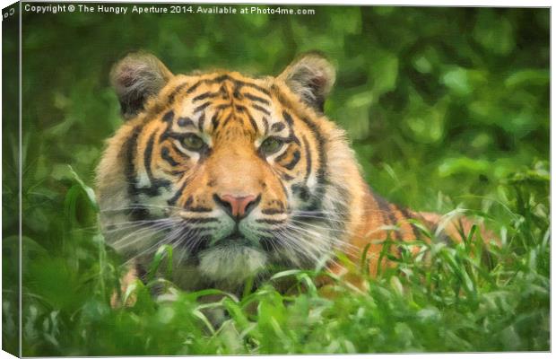 Tiger cub Canvas Print by Stef B