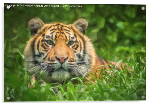 Tiger cub Acrylic by Stef B