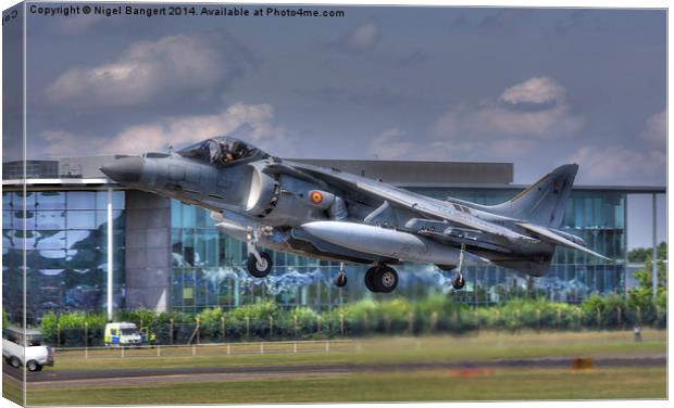  AV-8B Harrier ll Canvas Print by Nigel Bangert