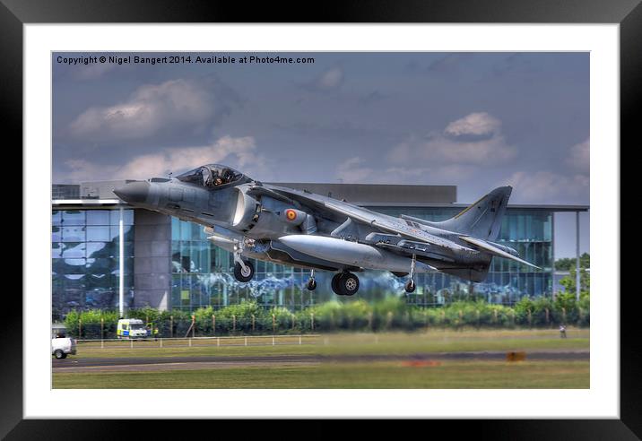  AV-8B Harrier ll Framed Mounted Print by Nigel Bangert