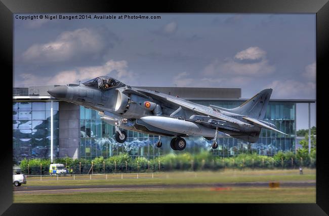  AV-8B Harrier ll Framed Print by Nigel Bangert