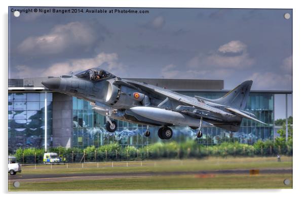  AV-8B Harrier ll Acrylic by Nigel Bangert