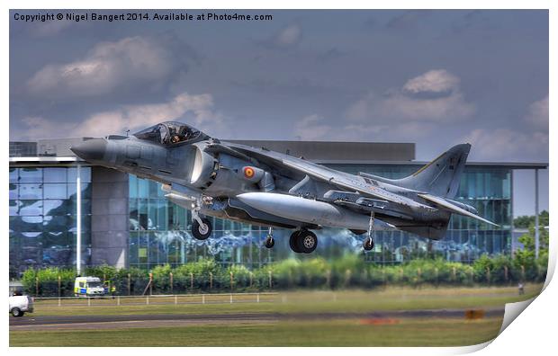  AV-8B Harrier ll Print by Nigel Bangert