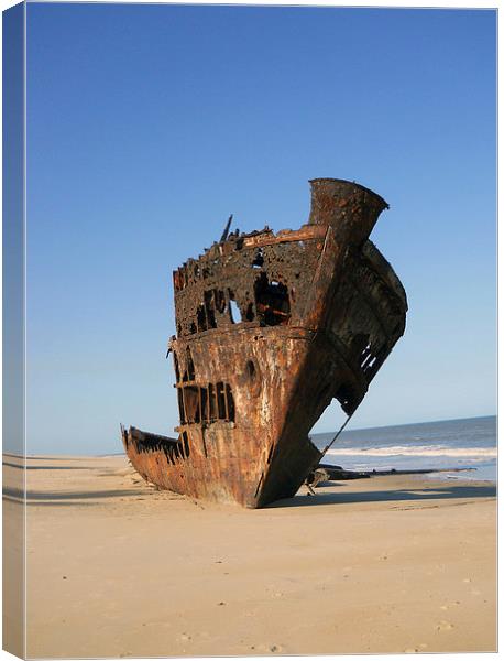  Shipwrecked Canvas Print by Matt Hill
