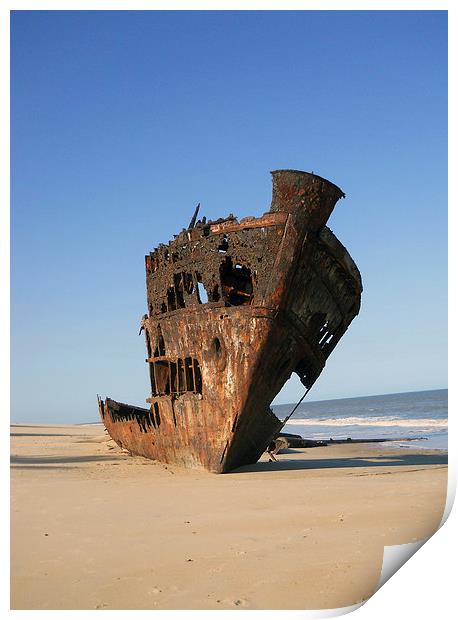  Shipwrecked Print by Matt Hill