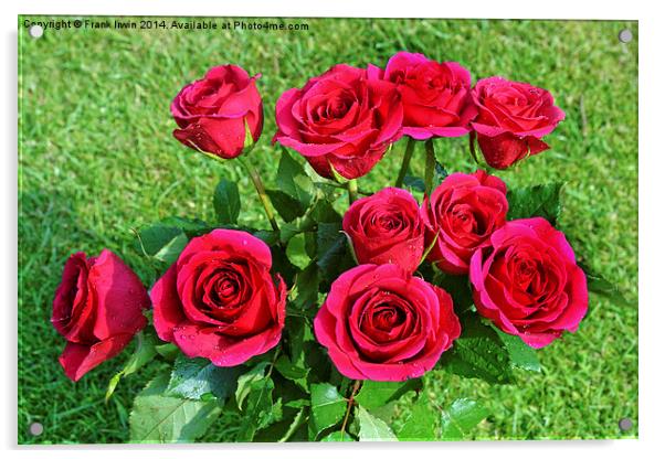 Beautiful red hybrid tea roses Acrylic by Frank Irwin