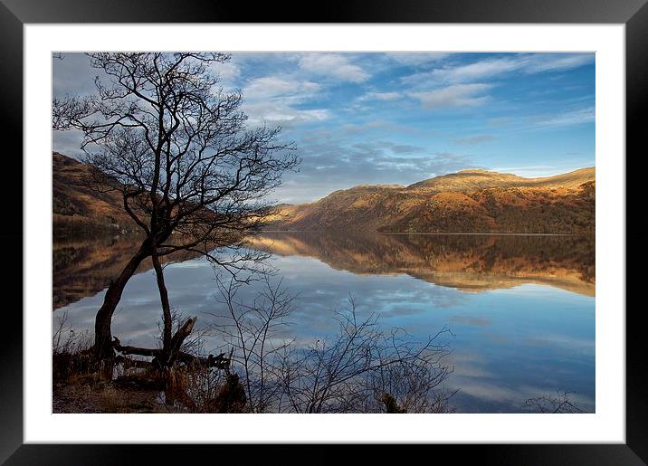  Calm on Loch Lomond Framed Mounted Print by Stephen Taylor