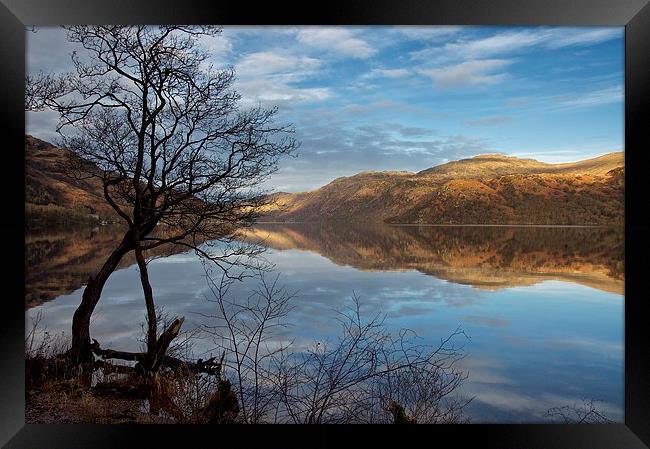  Calm on Loch Lomond Framed Print by Stephen Taylor