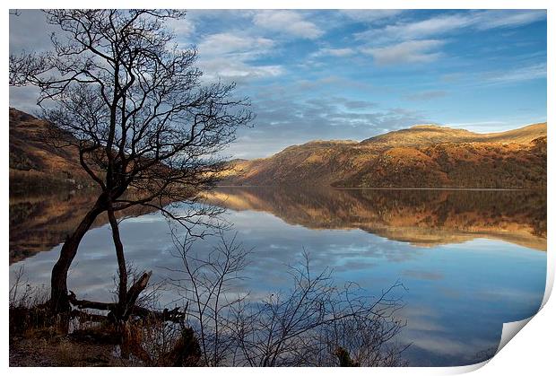  Calm on Loch Lomond Print by Stephen Taylor