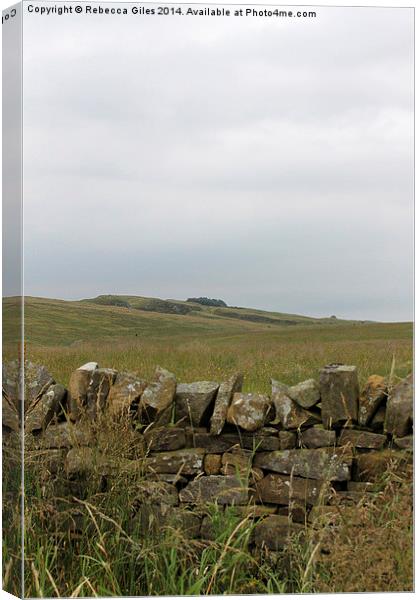  Hadrian's Wall Canvas Print by Rebecca Giles