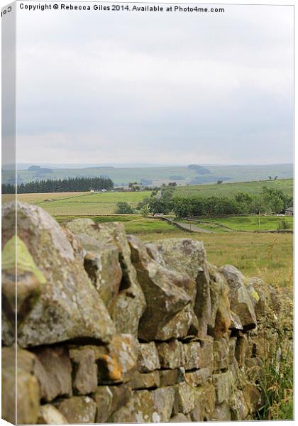  Hadrian's Wall Canvas Print by Rebecca Giles