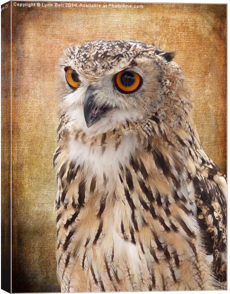  Eagle Owl Canvas Print by Lynn Bolt