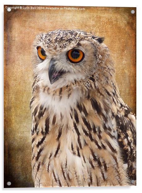  Eagle Owl Acrylic by Lynn Bolt