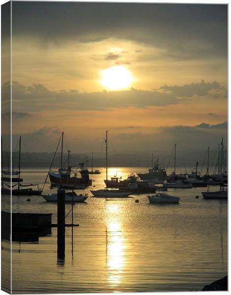  Brixham boats by sunset Canvas Print by Ann Biddlecombe