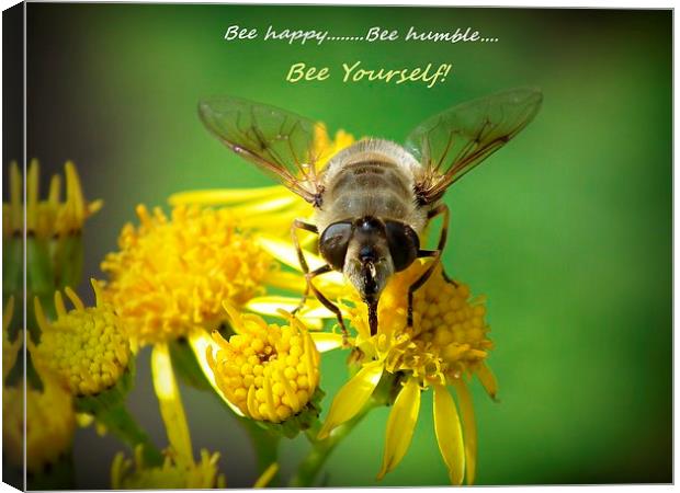  Honey bee Canvas Print by michelle whitebrook