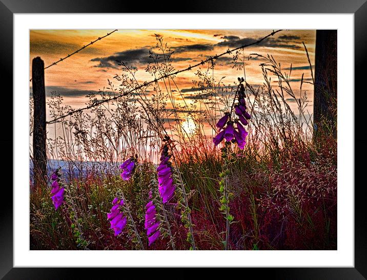  Sunset from Hartshead Pike Framed Mounted Print by Andy Smith