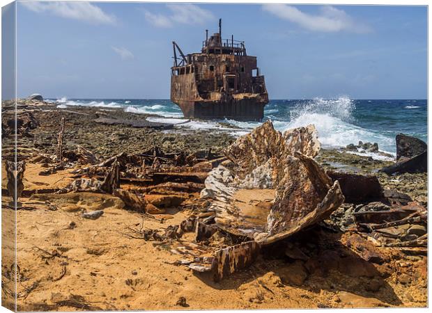 Klien Curacao - ship wreck Canvas Print by Gail Johnson