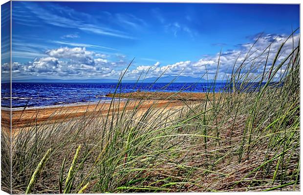 Irvine Sand Dunes   Canvas Print by Valerie Paterson