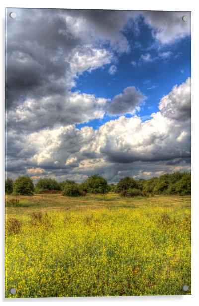 The English Summer Meadow Acrylic by David Pyatt