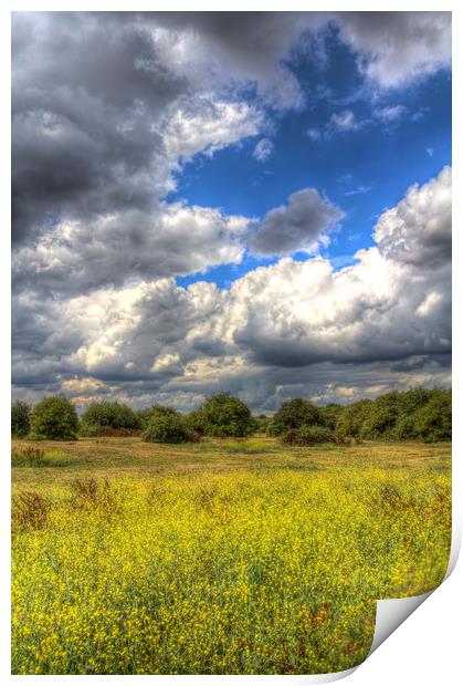 The English Summer Meadow Print by David Pyatt