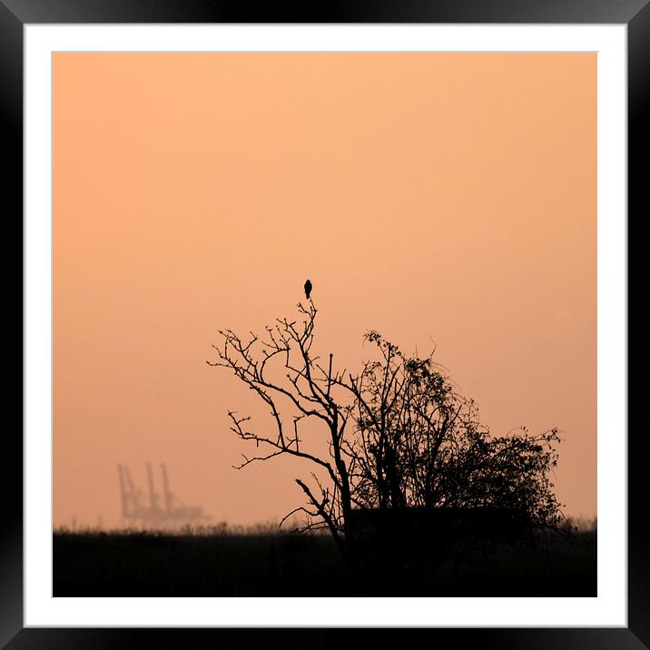  Oare at sunset Framed Mounted Print by Ian Hufton