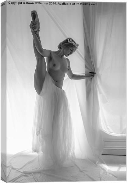  Topless Ballerina Canvas Print by Dawn O'Connor
