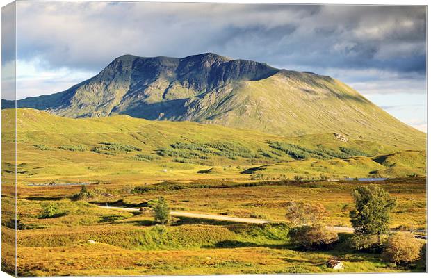  Rannoch moor Canvas Print by Grant Glendinning