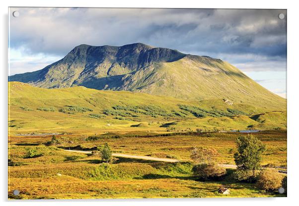  Rannoch moor Acrylic by Grant Glendinning