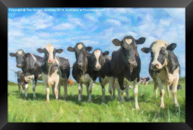  Cows Framed Print by Stef B