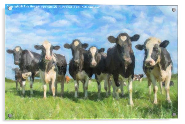  Cows Acrylic by Stef B