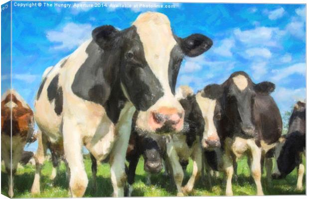 Nosey Cows Canvas Print by Stef B