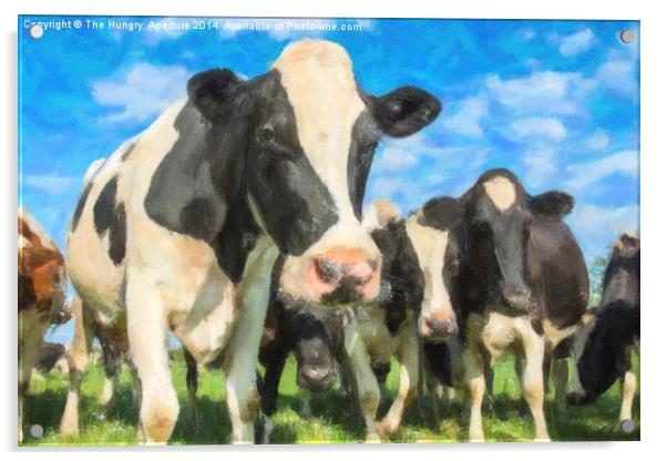 Nosey Cows Acrylic by Stef B
