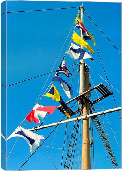  sea flags Canvas Print by dale rys (LP)