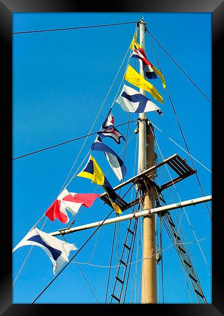  sea flags Framed Print by dale rys (LP)