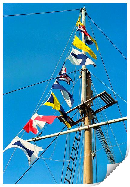  sea flags Print by dale rys (LP)