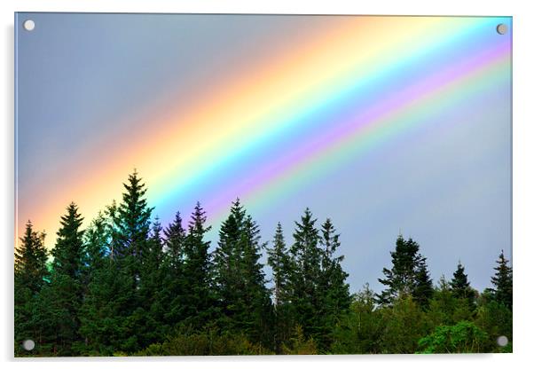  Rainbow Acrylic by Mark Godden
