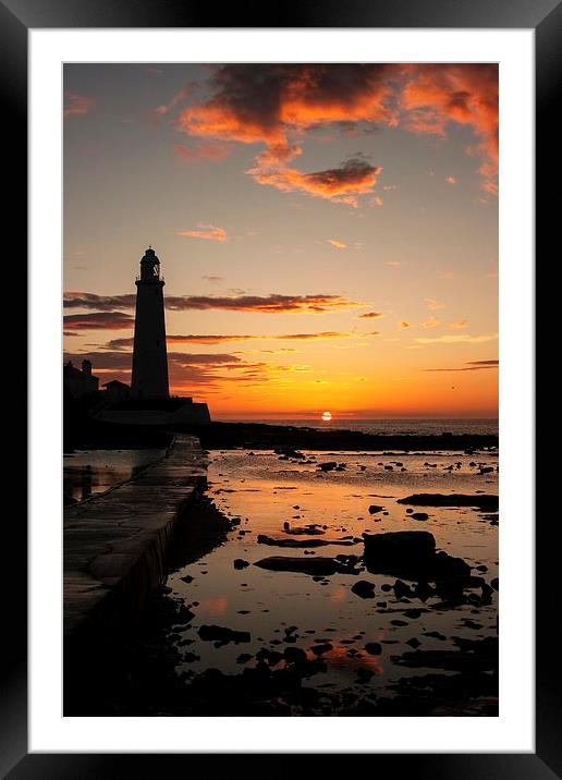  St. Mary's Lighthouse Sunrise Framed Mounted Print by Alex Murray