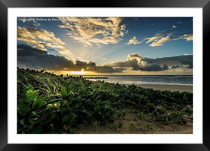 Sunrise in north Brazil Framed Mounted Print by Vinicios de Moura