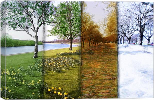  Four Seasons Canvas Print by Levi Henley