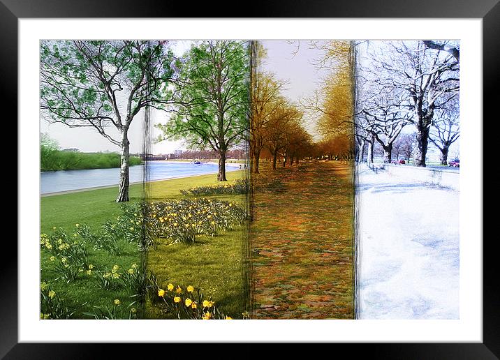  Four Seasons Framed Mounted Print by Levi Henley